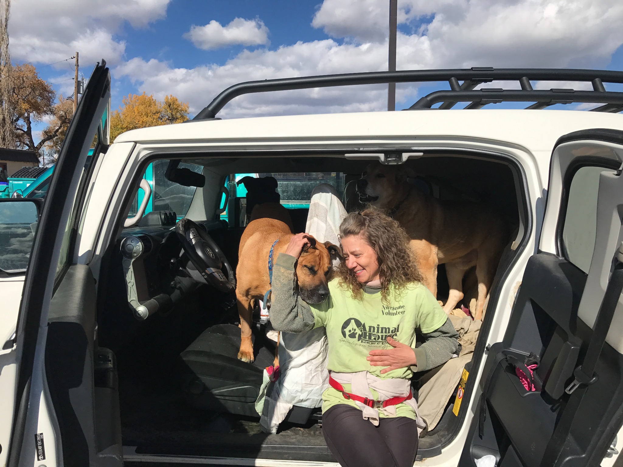 Leslie sitting in the open door of her manual Toyota FJ Cruiser with her dogs